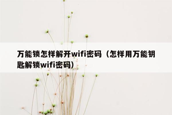 万能锁怎样解开wifi密码（怎样用万能钥匙解锁wifi密码）