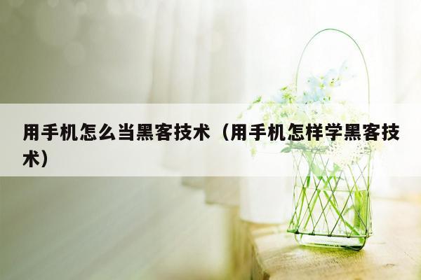 用手机怎么当黑客技术（用手机怎样学黑客技术）