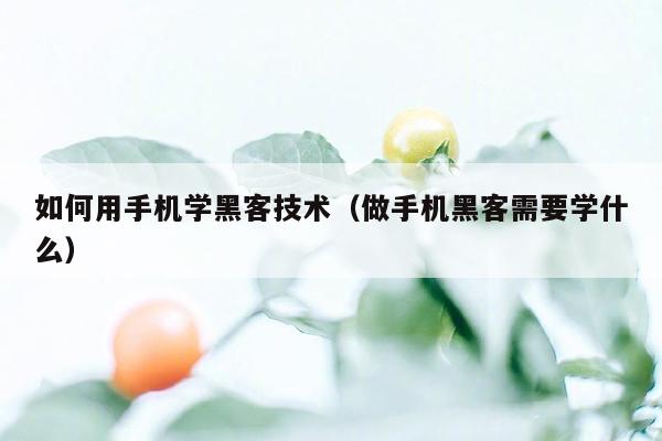 如何用手机学黑客技术（做手机黑客需要学什么）