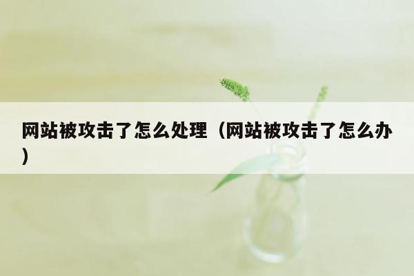 网站被攻击了怎么处理（网站被攻击了怎么办）