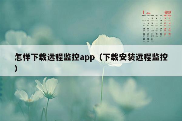 怎样下载远程监控app（下载安装远程监控）