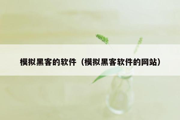 模拟黑客的软件（模拟黑客软件的网站）