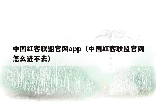 中国红客联盟官网app（中国红客联盟官网怎么进不去）