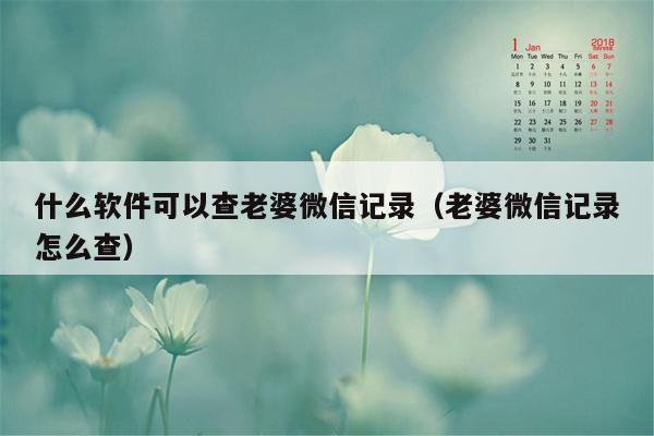 什么软件可以查老婆微信记录（老婆微信记录怎么查）