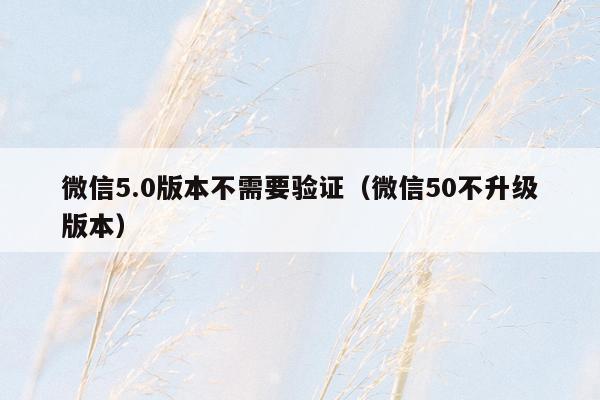 微信5.0版本不需要验证（微信50不升级版本）