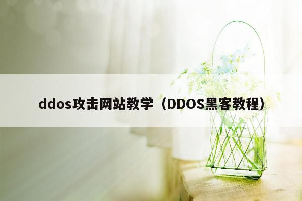 ddos攻击网站教学（DDOS黑客教程）