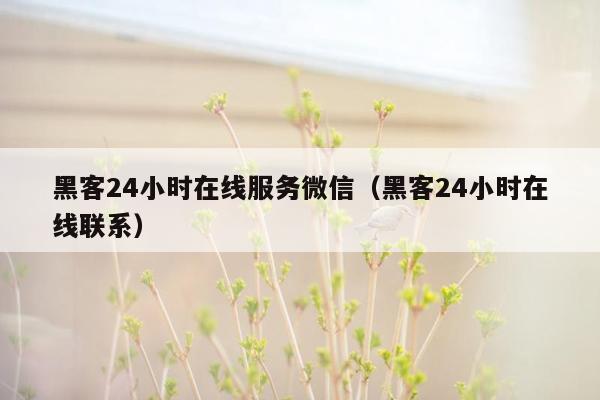 黑客24小时在线服务微信（黑客24小时在线联系）