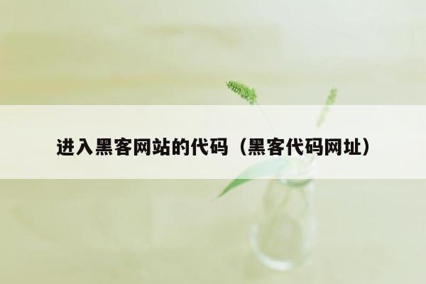 进入黑客网站的代码（黑客代码网址）