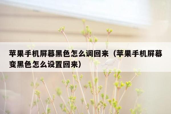 苹果手机屏幕黑色怎么调回来（苹果手机屏幕变黑色怎么设置回来）