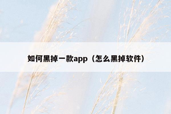 如何黑掉一款app（怎么黑掉软件）