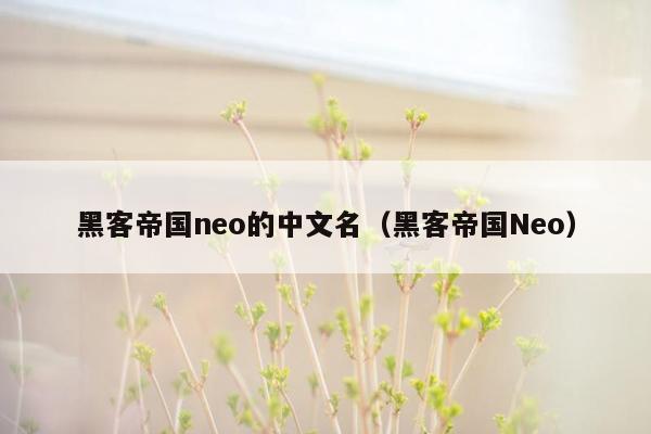 黑客帝国neo的中文名（黑客帝国Neo）