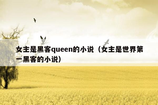 女主是黑客queen的小说（女主是世界第一黑客的小说）