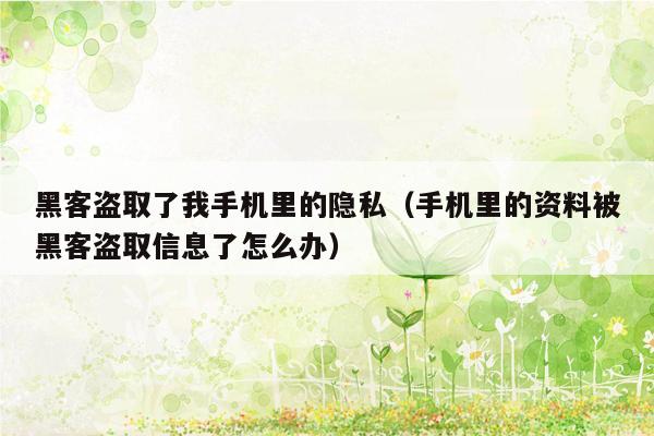 黑客盗取了我手机里的隐私（手机里的资料被黑客盗取信息了怎么办）