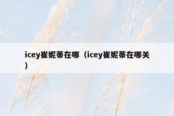 icey崔妮蒂在哪（icey崔妮蒂在哪关）