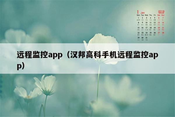 远程监控app（汉邦高科手机远程监控app）