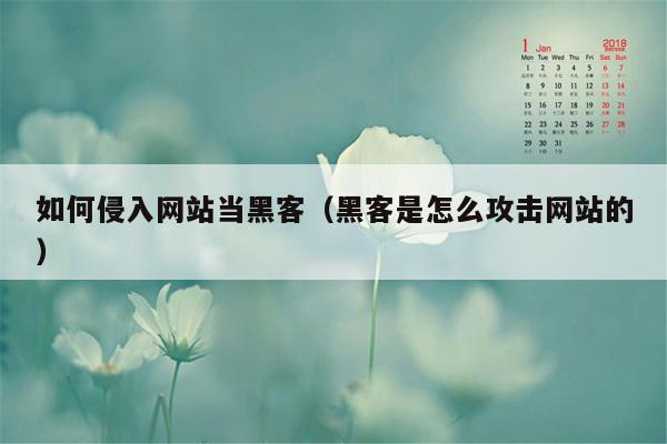 如何侵入网站当黑客（黑客是怎么攻击网站的）