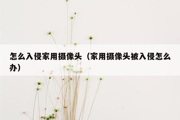 怎么入侵家用摄像头（家用摄像头被入侵怎么办）