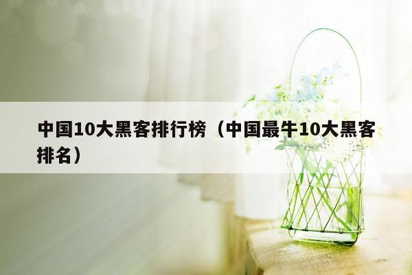 中国10大黑客排行榜（中国最牛10大黑客排名）