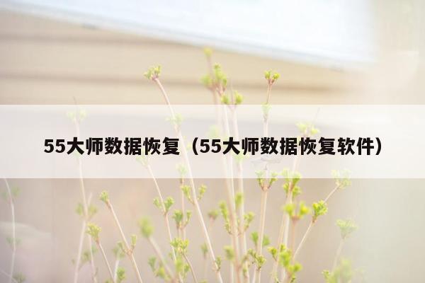 55大师数据恢复（55大师数据恢复软件）