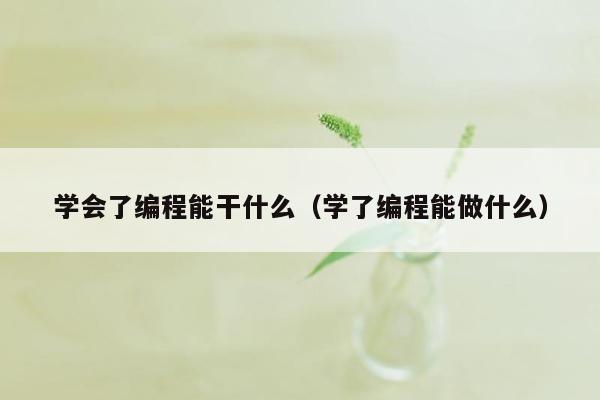 学会了编程能干什么（学了编程能做什么）