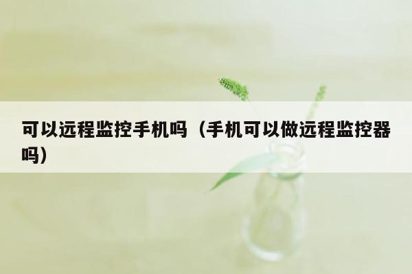 可以远程监控手机吗（手机可以做远程监控器吗）