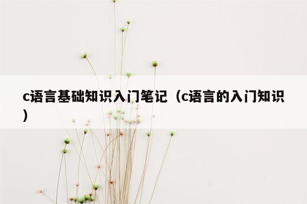 c语言基础知识入门笔记（c语言的入门知识）