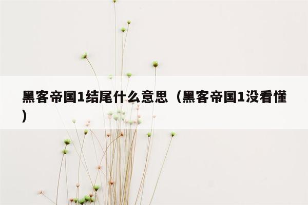 黑客帝国1结尾什么意思（黑客帝国1没看懂）