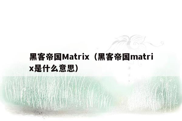 黑客帝国Matrix（黑客帝国matrix是什么意思）