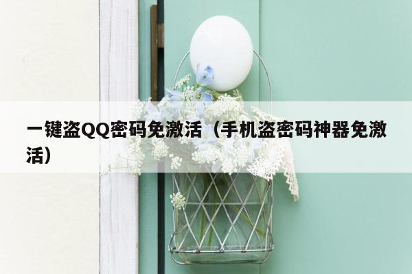 一键盗QQ密码免激活（手机盗密码神器免激活）