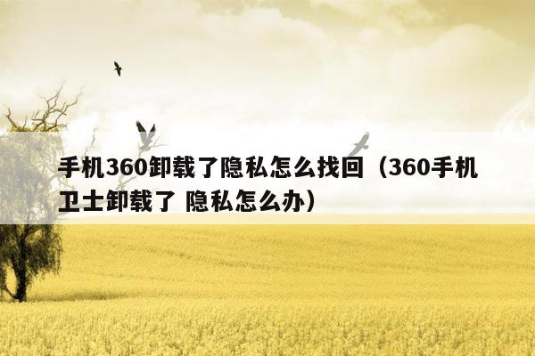 手机360卸载了隐私怎么找回（360手机卫士卸载了 隐私怎么办）