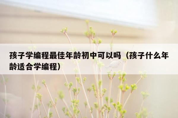 孩子学编程最佳年龄初中可以吗（孩子什么年龄适合学编程）