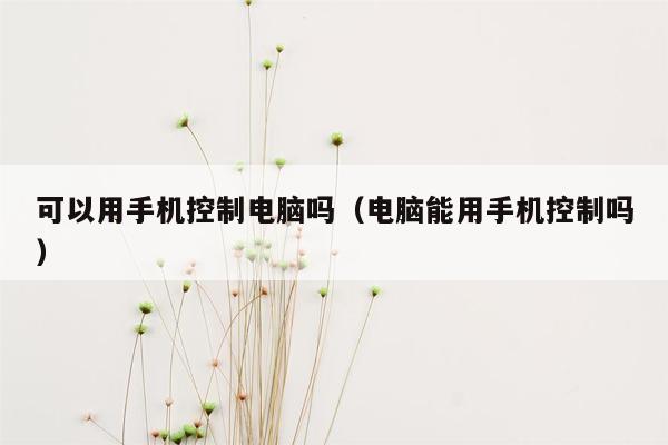 可以用手机控制电脑吗（电脑能用手机控制吗）