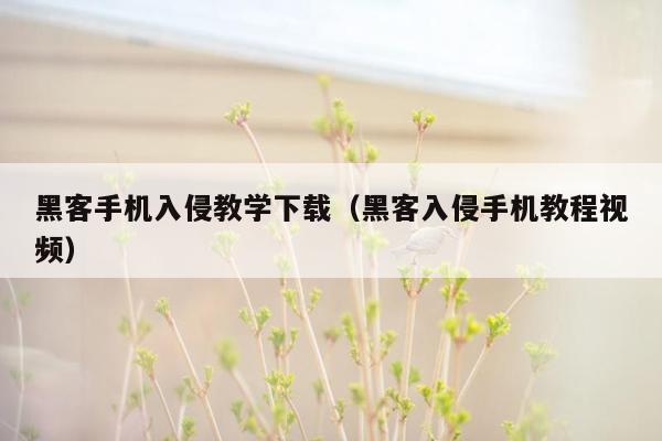 黑客手机入侵教学下载（黑客入侵手机教程视频）