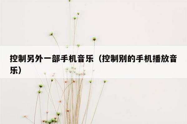 控制另外一部手机音乐（控制别的手机播放音乐）