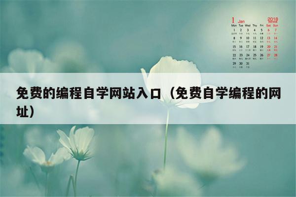 免费的编程自学网站入口（免费自学编程的网址）