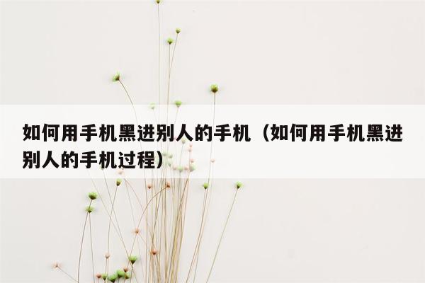 如何用手机黑进别人的手机（如何用手机黑进别人的手机过程）