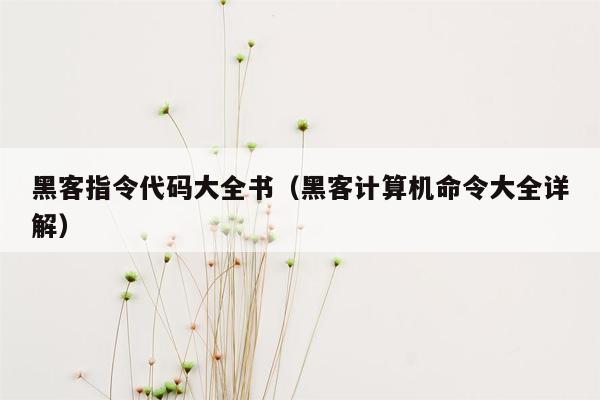 黑客指令代码大全书（黑客计算机命令大全详解）