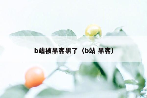 b站被黑客黑了（b站 黑客）