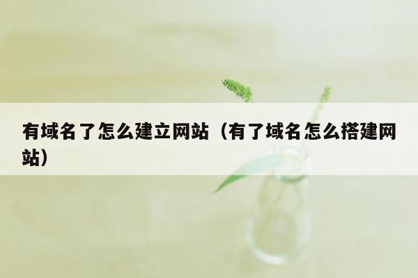 有域名了怎么建立网站（有了域名怎么搭建网站）