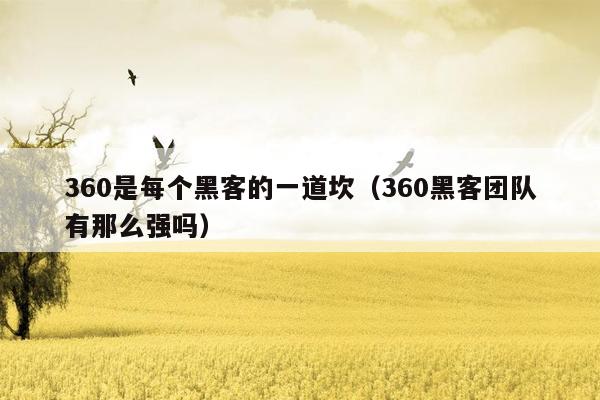 360是每个黑客的一道坎（360黑客团队有那么强吗）