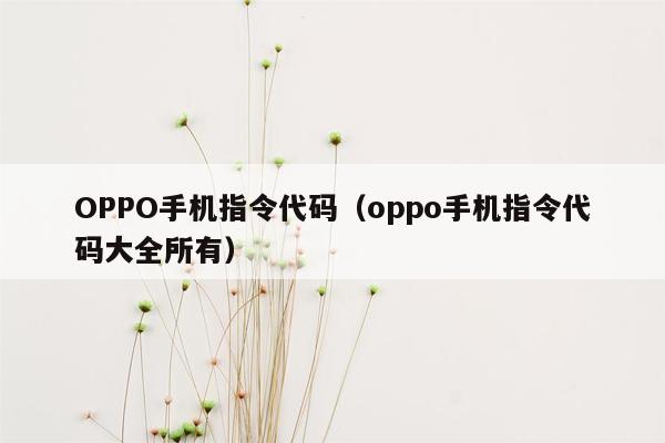 OPPO手机指令代码（oppo手机指令代码大全所有）