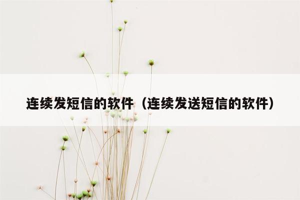 连续发短信的软件（连续发送短信的软件）