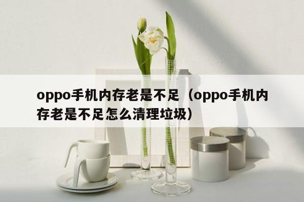 oppo手机内存老是不足（oppo手机内存老是不足怎么清理垃圾）