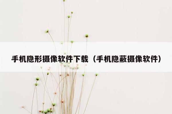 手机隐形摄像软件下载（手机隐蔽摄像软件）