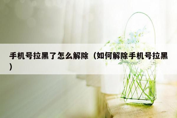 手机号拉黑了怎么解除（如何解除手机号拉黑）