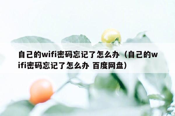 自己的wifi密码忘记了怎么办（自己的wifi密码忘记了怎么办 百度网盘）