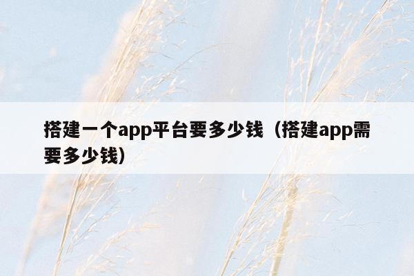 搭建一个app平台要多少钱（搭建app需要多少钱）