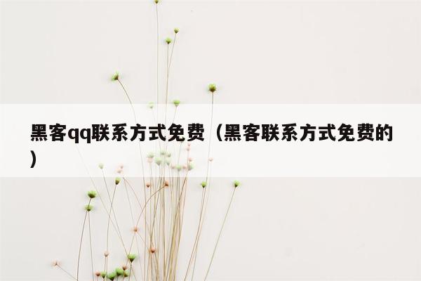 黑客qq联系方式免费（黑客联系方式免费的）