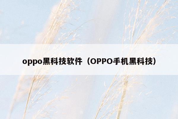 oppo黑科技软件（OPPO手机黑科技）