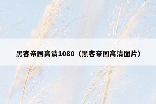 黑客帝国高清1080（黑客帝国高清图片）